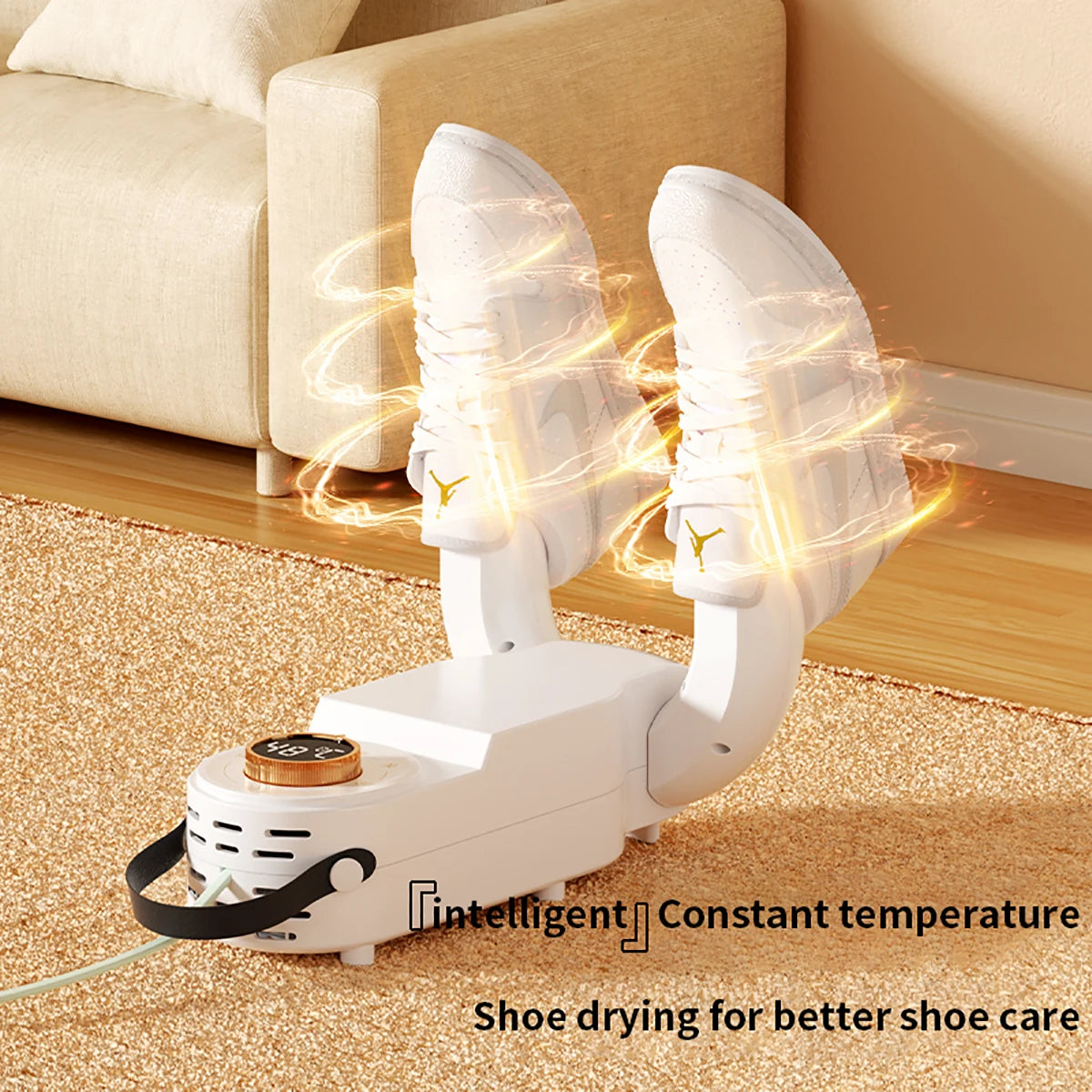 Smart Shoe Deodorizer